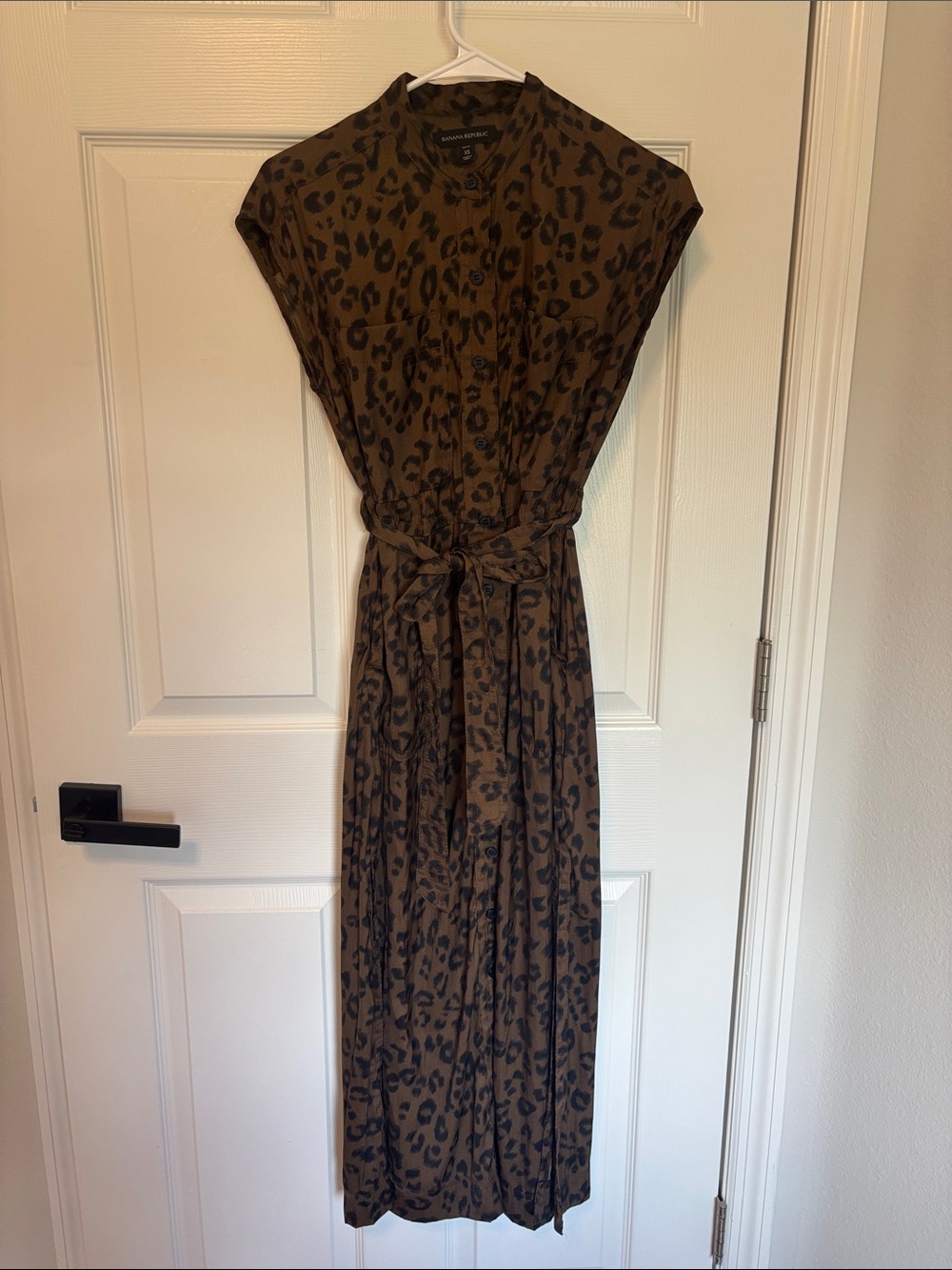 Banana Republic Brown Leopard-Print Maxi Dress
